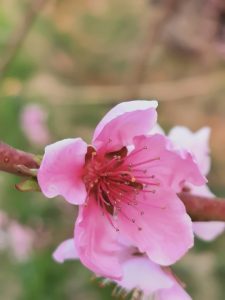 吃亏是福-茉苛云生活