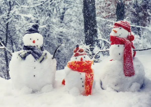 冬天的记忆-茉苛云生活